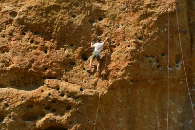 DSC_6360 (Large).JPG